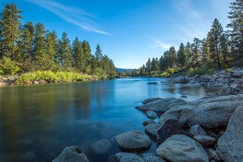River bank in forest